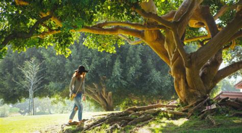 Image result for Reconectar Con Naturaleza