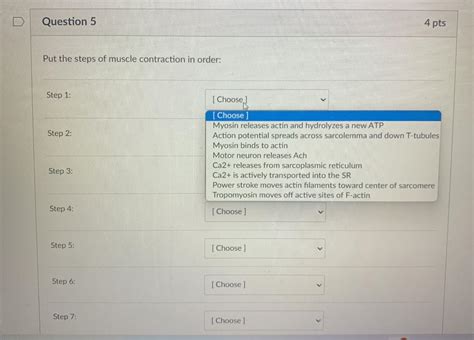 Image result for Muscle Contraction Steps in Order