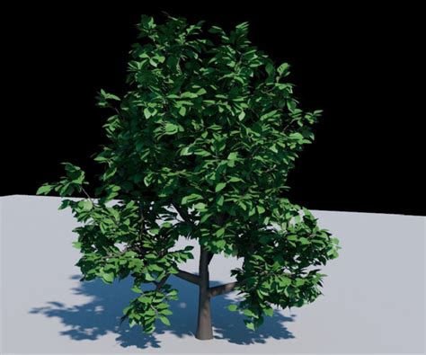 Image result for Low Poly Redwood Tree