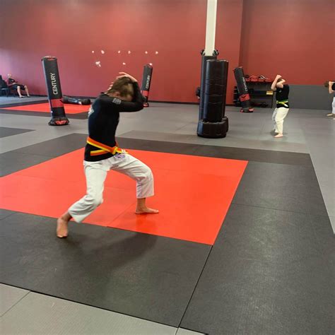 Afbeeldingsresultaten voor Excel Mode Arret Arts