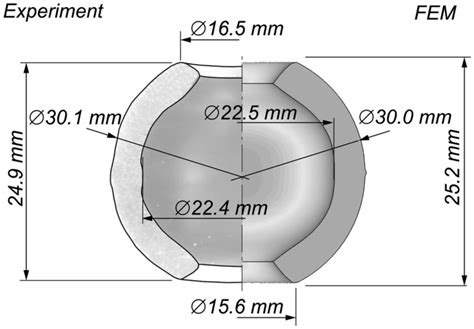 Forging Experiment માટે ઇમેજ પરિણામ