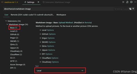 Paste Images in vs Code に対する画像結果