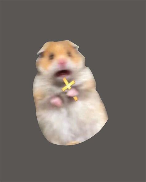 Image result for Frightened Hamster Meme