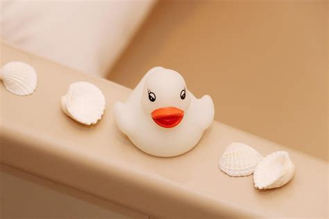 Image result for Rubber Duck Bath