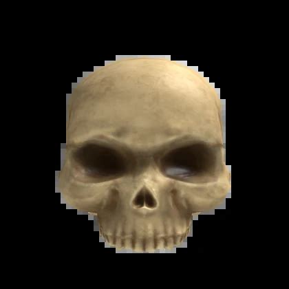 Image result for Roblox Crop Pic Skull