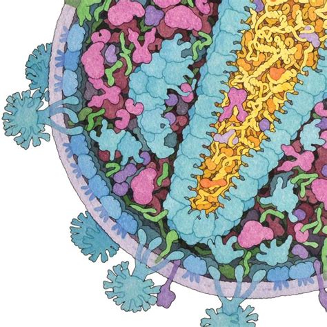 Physical Model Biology に対する画像結果