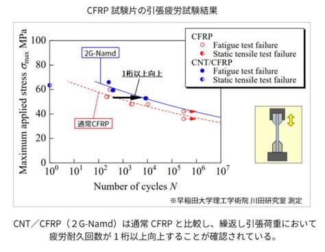 FNTD F-NaF に対する画像結果