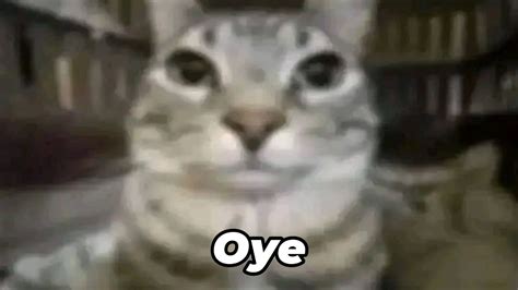 Low Quality Reaction Memes に対する画像結果