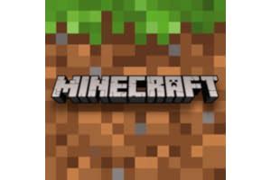Image result for Minecraft Block Pop It