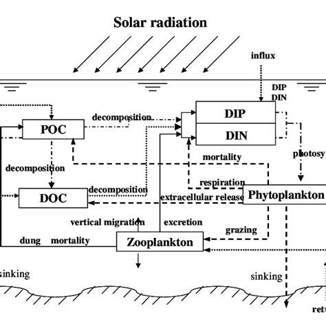 System Ecosystem Diagram に対する画像結果