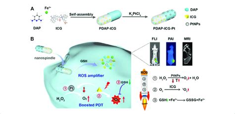 Toradh íomhá ar Basic Strategy PDT