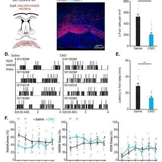 Toradh íomhá ar Sum in MS Excel