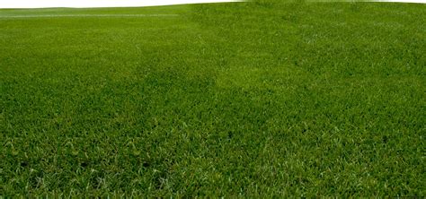 Grass Material 3DS Max に対する画像結果