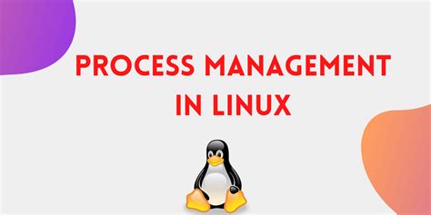 Image result for Diagram Depicting Linux Server Management Process