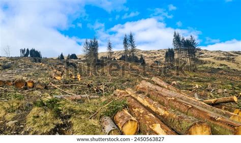 Image result for Biodiversity Loss Graph