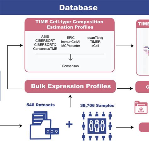 Image result for How Is Time Stored in Database