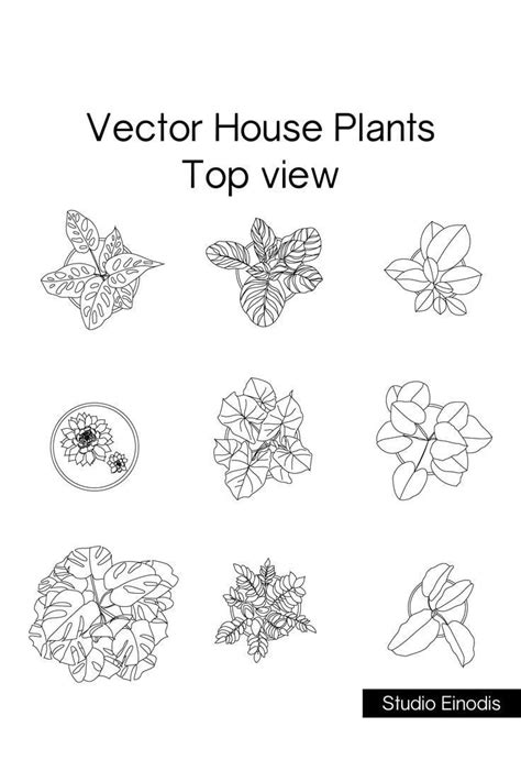 Image result for Plan View Plant Symbols