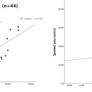 Linear Regression Diagram Small Size に対する画像結果