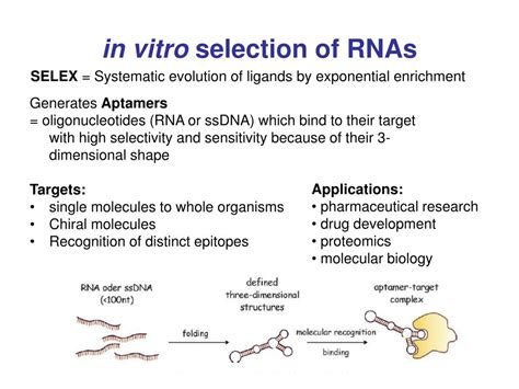 Image result for Stopped Flow Graph