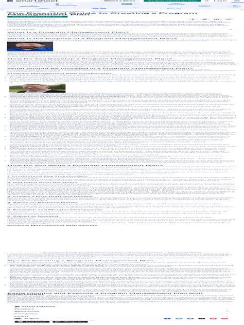 Toradh íomhá ar Program Management Plan Graphic