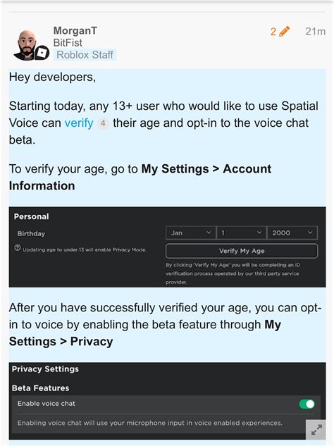 Image result for Roblox Verification Voice Chat