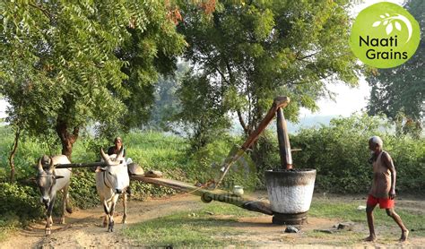 Cold Pressed Extraction Method に対する画像結果