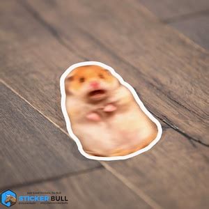 Image result for Frightened Hamster Meme