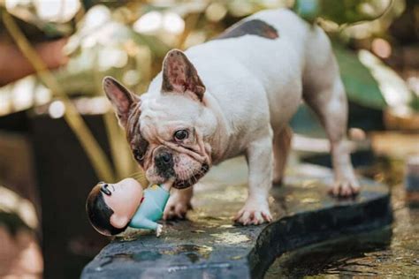 Image result for Unique Roblox Names