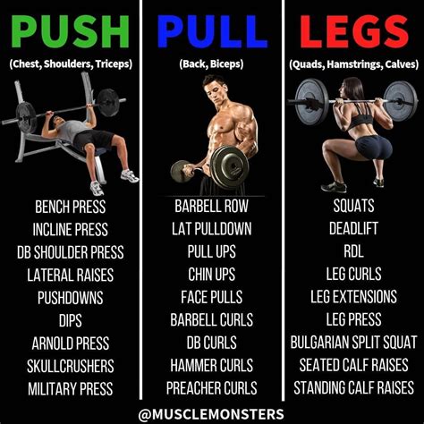 Push Pull Legs Routine എന്നതിനുള്ള ഇമേജ് ഫലം