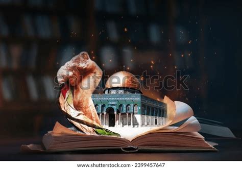 Image result for Erasing Palestine High Resolution Book Cover