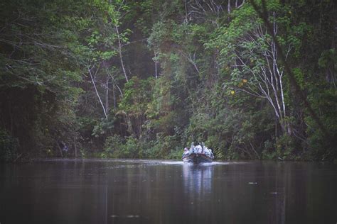 Image result for Amazon Roblox Sweater