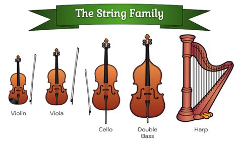 Image result for Musical Instruments String Family