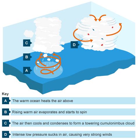 How Do Cyclones Begin に対する画像結果