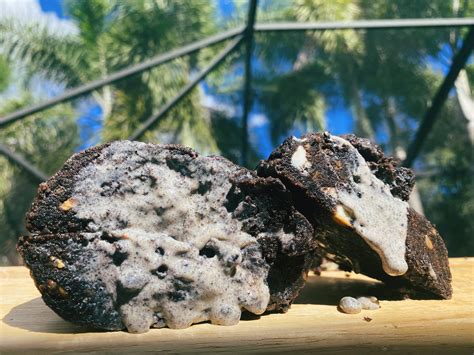 Cookies in Advance Java に対する画像結果