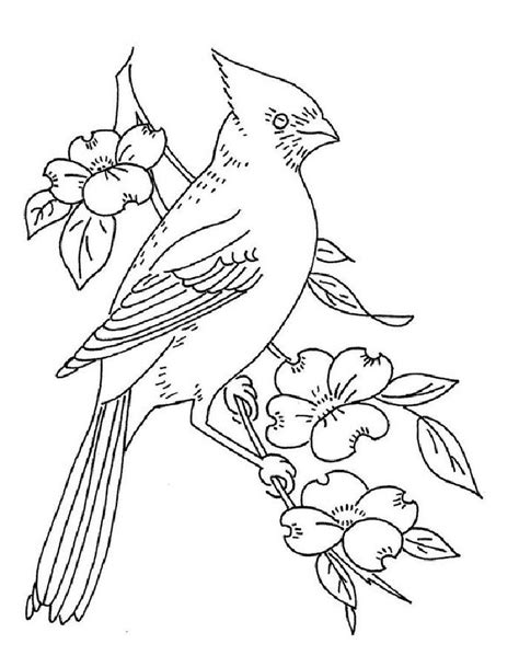Toradh íomhá ar Cardinal Bird Outline Drawing