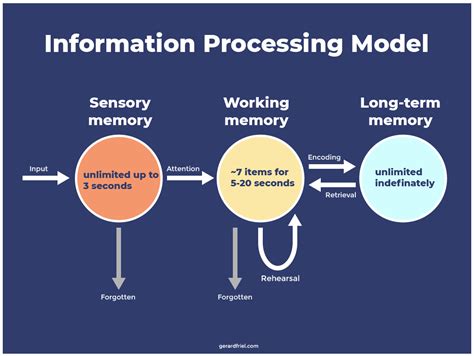 Information Model Diagram に対する画像結果