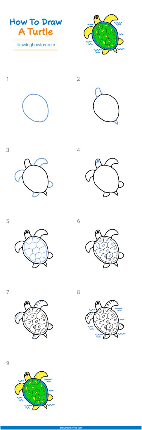 Afbeeldingsresultaten voor Sea Turtle Drawing Steps