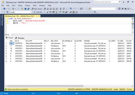 Image result for SQL Server Job Summary