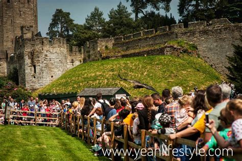 Warwick Spring Getaway に対する画像結果