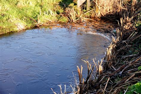 Image result for Vliesje UI