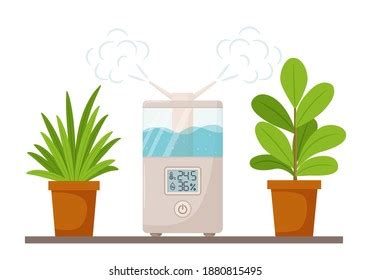 Toradh íomhá ar How to Use a Humidifier Properly