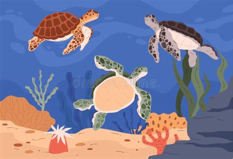 Turtle Ecosystem Drawing に対する画像結果