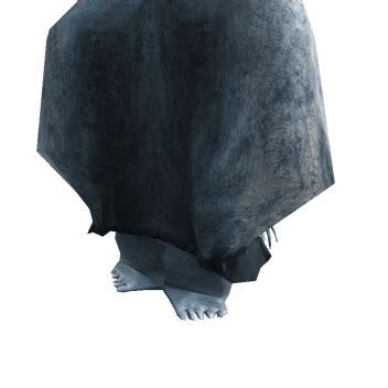 Image result for Roblox Peelz2