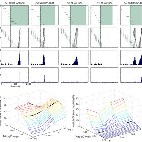 Image result for Spiking Neural Network SNN