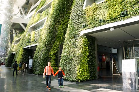 Green Wall Architecture に対する画像結果