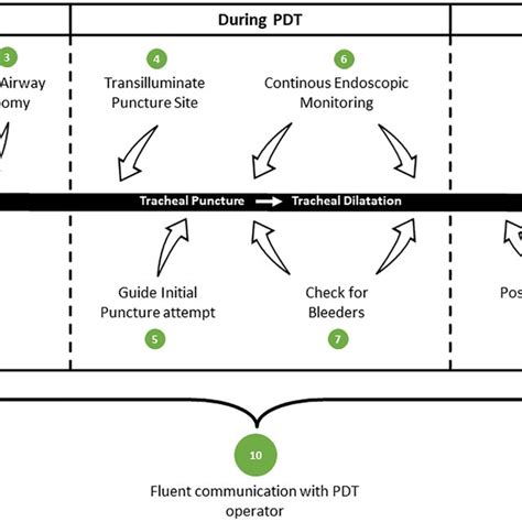 Image result for PDT Procedure