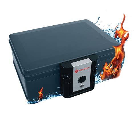 Image result for First Alert Safe Model P 206222