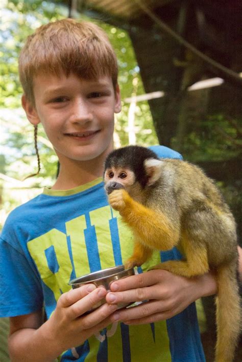 Zajec Zival に対する画像結果