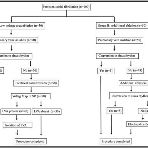 Image result for Research Protocol Flow Chart