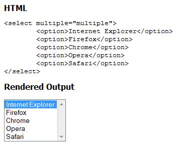 Image result for Expanded Select HTML